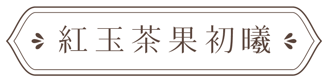 紅玉茶果初曦